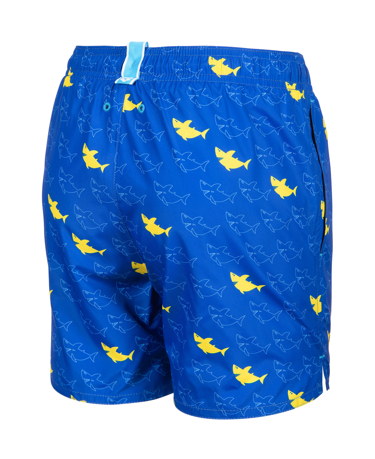 BOYS ARENA WATERPRINTS BEACH BOXER